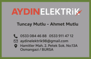 aydın-elektirk